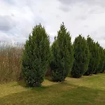 Living Apartmán Leiblfing